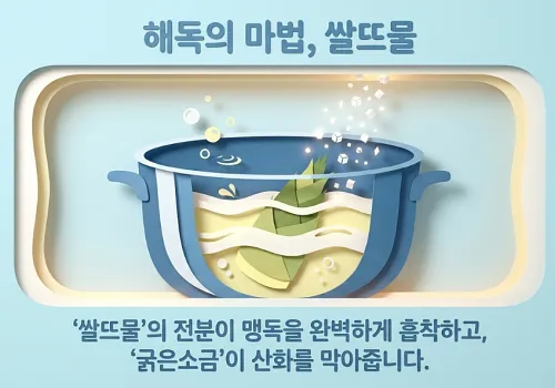 죽순-해독방법-쌀뜨물