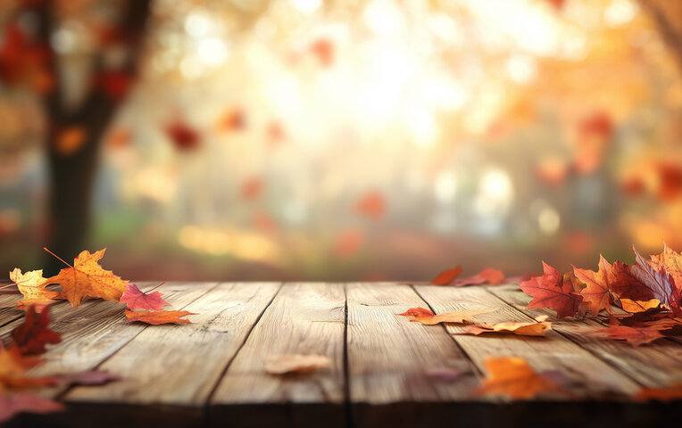 2024년 11월 주일 낮예배 대표기도문 모음