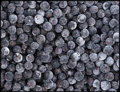 아로니아효능 12가지