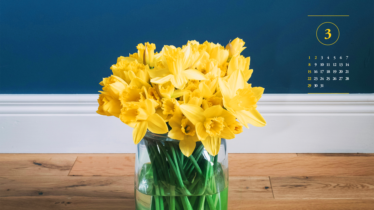 03 노란색 수선화 남색배경 A - 2026년3월 달력배경화면