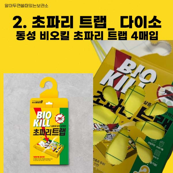 초파리 날파리 제거방법 다이소 리스테린 초파리싹