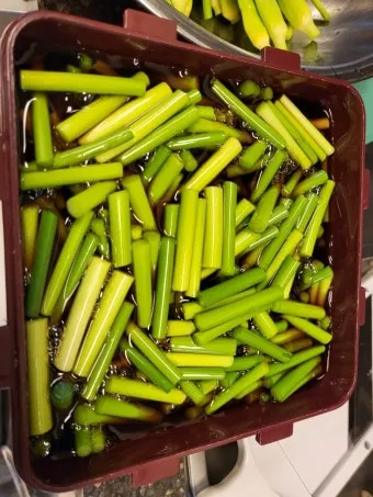 마늘쫑장아찌 담그기 팁으로 맛있게 보관하는 법_5