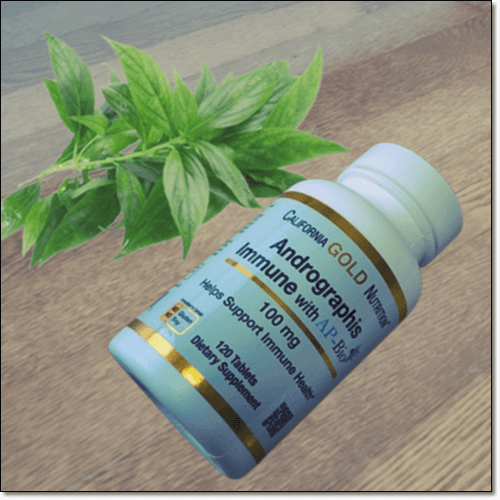 천심련 효능 및 복용법, 섭취량과 주의점