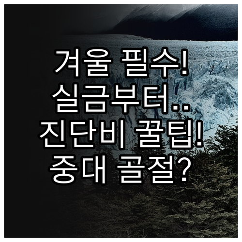 겨울 레저 필수 보장 골절진단비 실금..