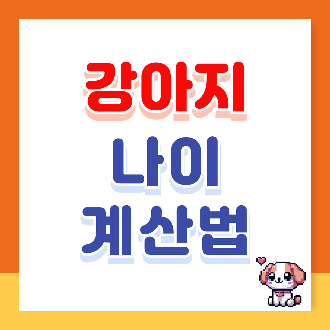 강아지 나이 계산법