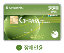 GPASS 교통카드