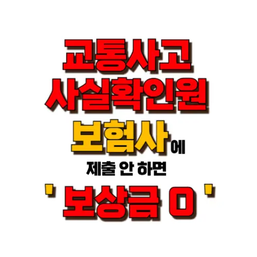 교통사고사실확인원 보험사