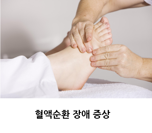 혈액순환 장애 증상