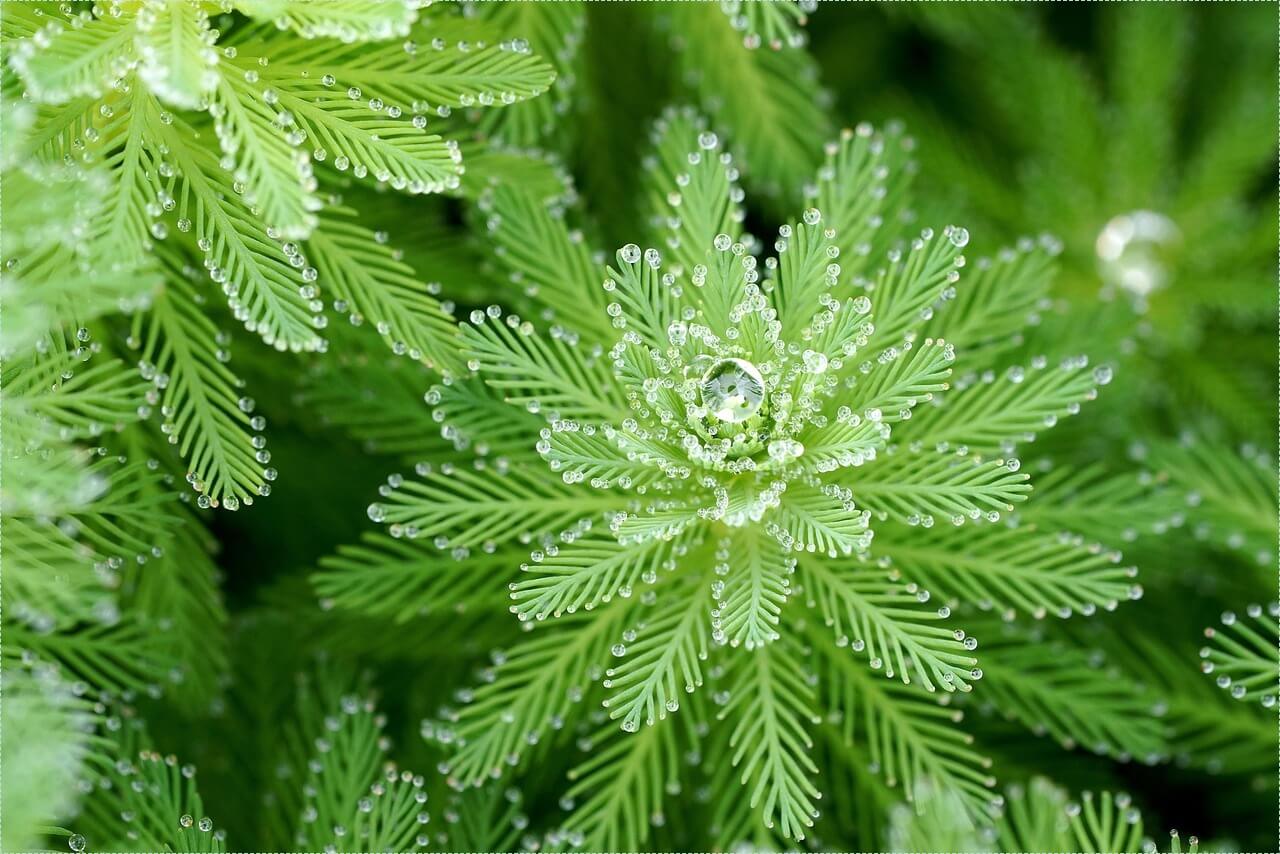 1억 은행 예금이자