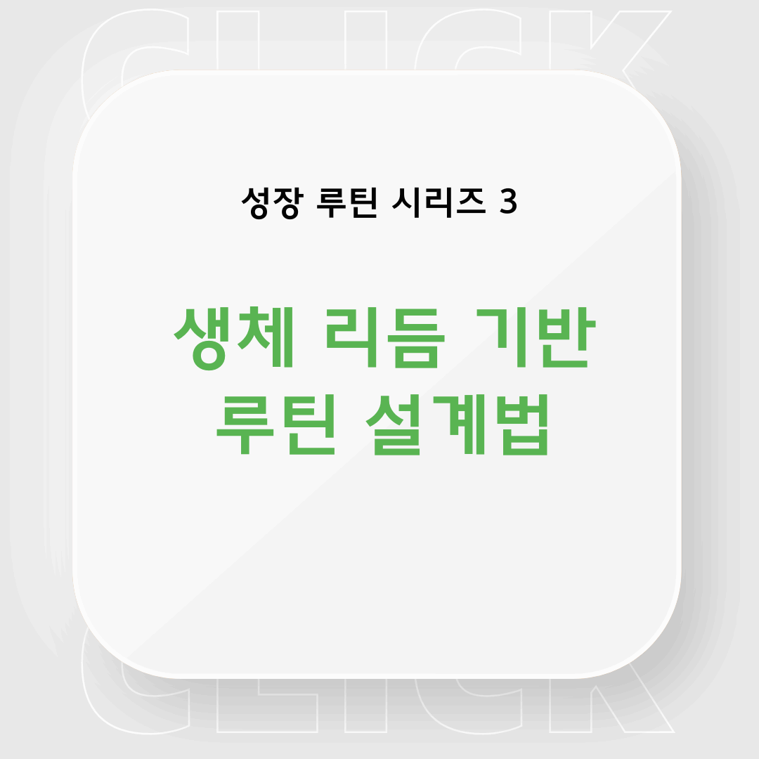 생체 리듬 루틴