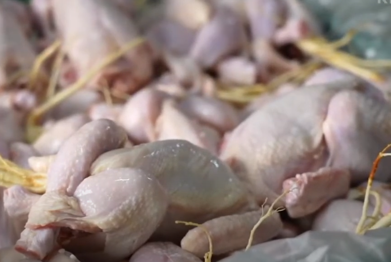 들깨 삼계탕 맛집 생생정보통 소개 KBS 210628 방송29