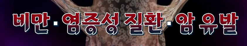 모로실 효능