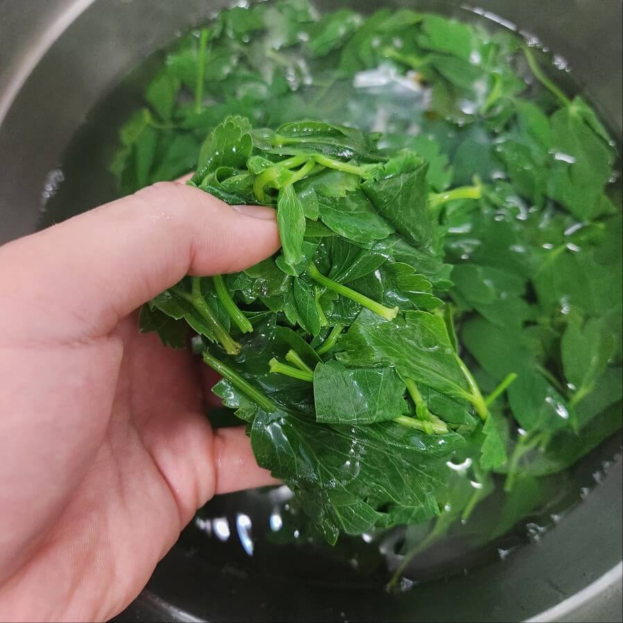 봄나물 종류 봄 제철음식 3월 제철나물 3월 봄나물 봄나물 효능 봄 제철 나물 두릅 튀김 봄 제철 나물 봄제철 나물요리 다래순 두부무침 봄제철나물 단백질과 함께~ 백종원 달래무침 만드는법 봄 제철나물 도시락반찬레시피 봄 제철 부추나물 무침~* #봄제철요리 #두릅나물볶음만들기 #두릅요리 봄철나물 종류 봄철 나물