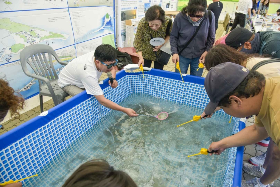 제14회 화성 뱃놀이 축제 기본일정과 프로그램 소개 그리고 예매 방법 정리