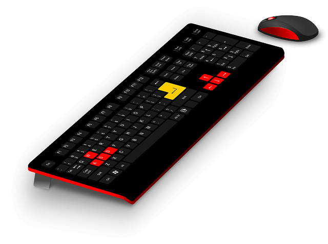 무료 누끼따기 사이트 사진