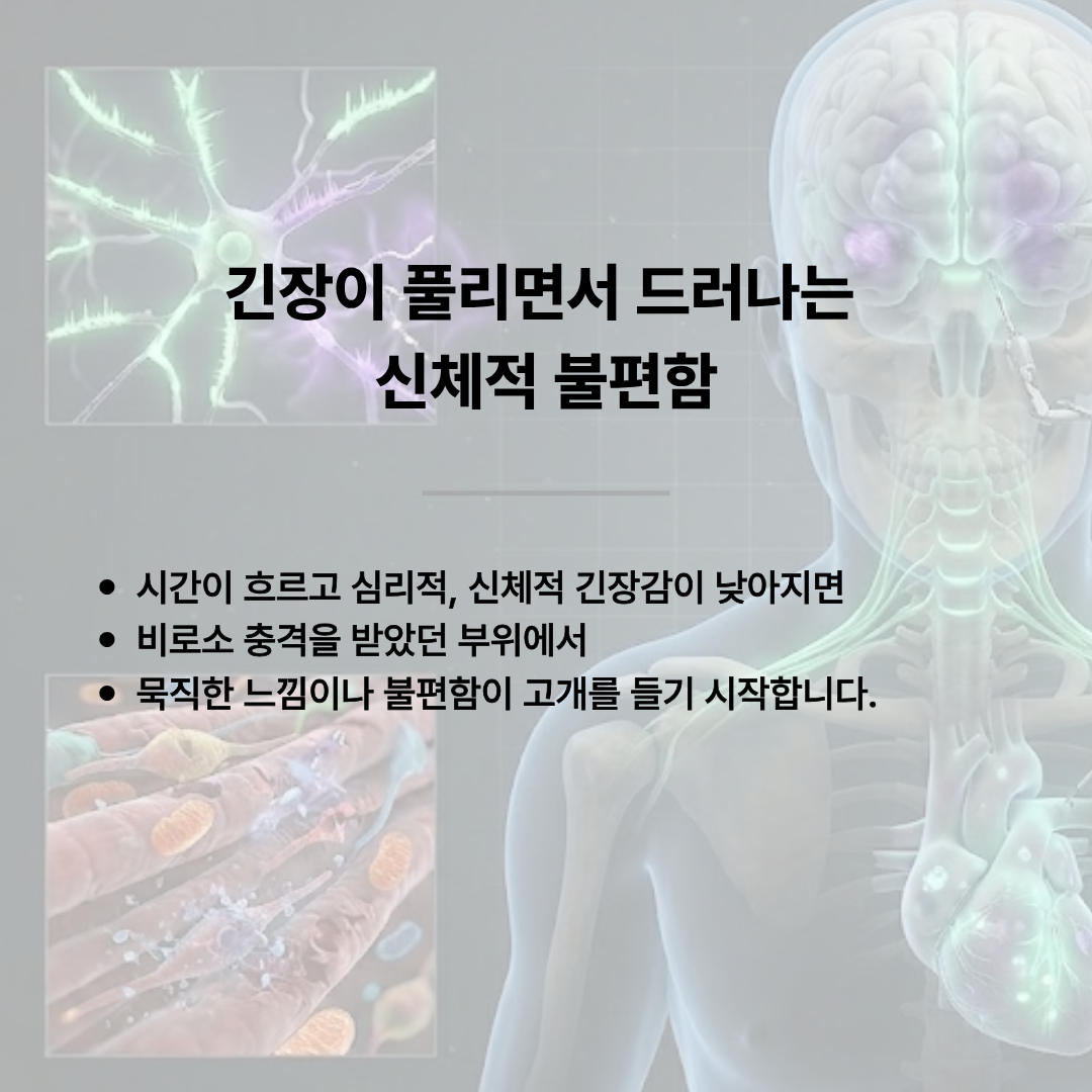 긴장이 풀리면서 드러나는 신체적 불편함'을 주제로 한 카드뉴스 이미지입니다. 시간이 흐르고 심리적, 신체적 긴장감이 낮아지면 비로소 충격을 받았던 부위에서 묵직한 느낌이나 불편함이 고개를 들기 시작한다는 설명이 적혀 있습니다. 배경에는 뇌 신경망과 심장 등 인체 내부를 묘사한 3D 일러스트가 포함되어 있습니다.