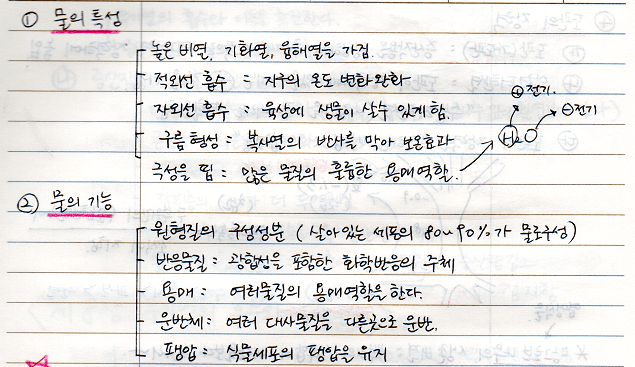 물의 특성, 물의 기능