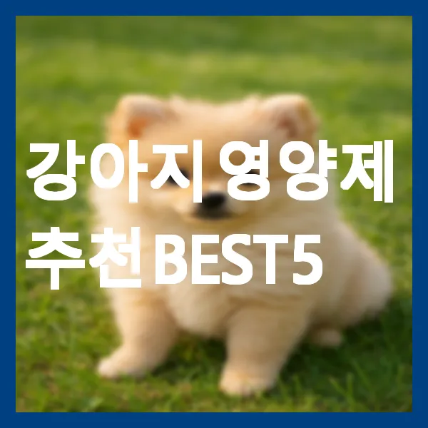 강아지 영양제 추천 BEST 5
