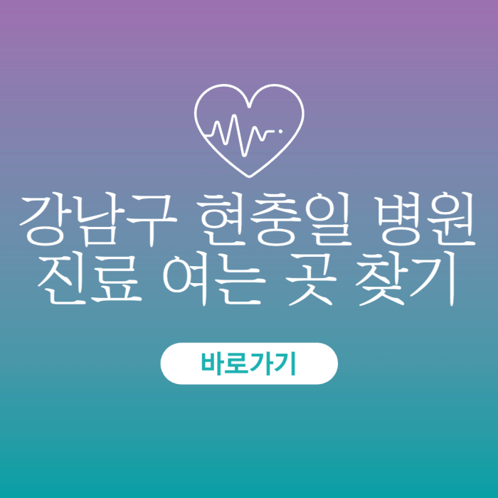 강남구-현충일-병원-진료-여는-곳-찾기