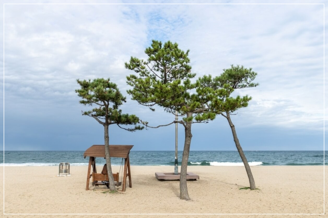 양양 가볼만한곳 베스트10 낙산해수욕장