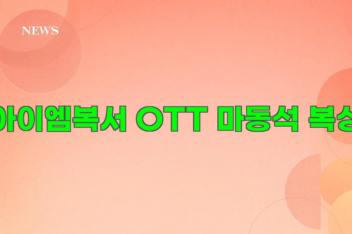 아이엠복서 OTT