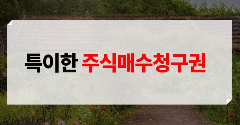 공적 자금 투입된 기업의 주식매수청구권