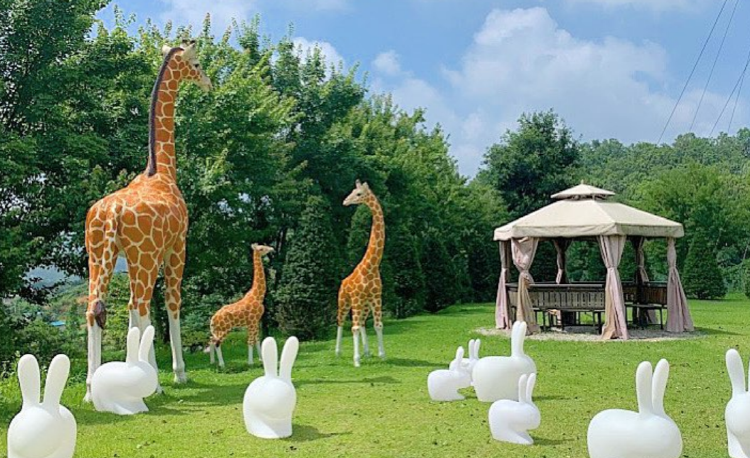 강화 자연휴양림