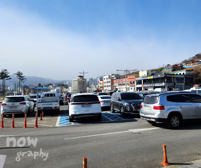 묵호항-활어판매센터