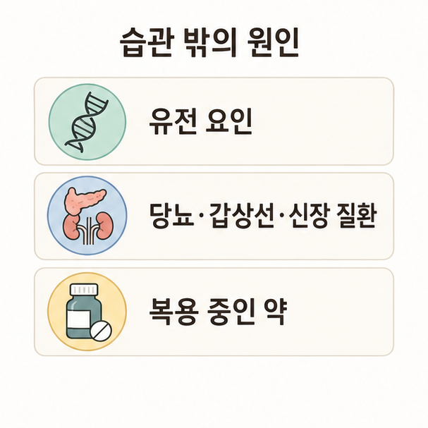 생활습관 밖의 콜레스테롤 상승 원인, 유전 요인과 당뇨 갑상선 신장 질환, 복용 중인 약을 정리한 목록