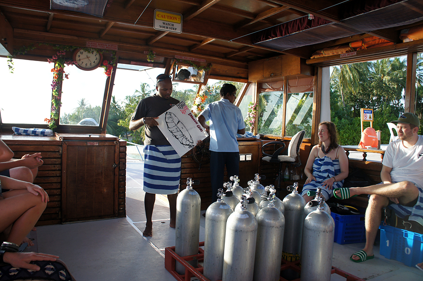 다이빙을 떠나는 사진