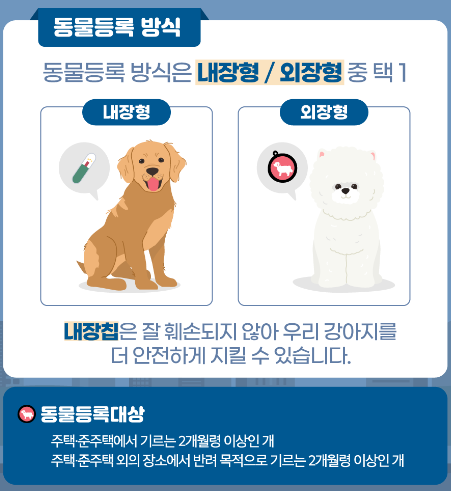 동물등록번호 발급 및 조회