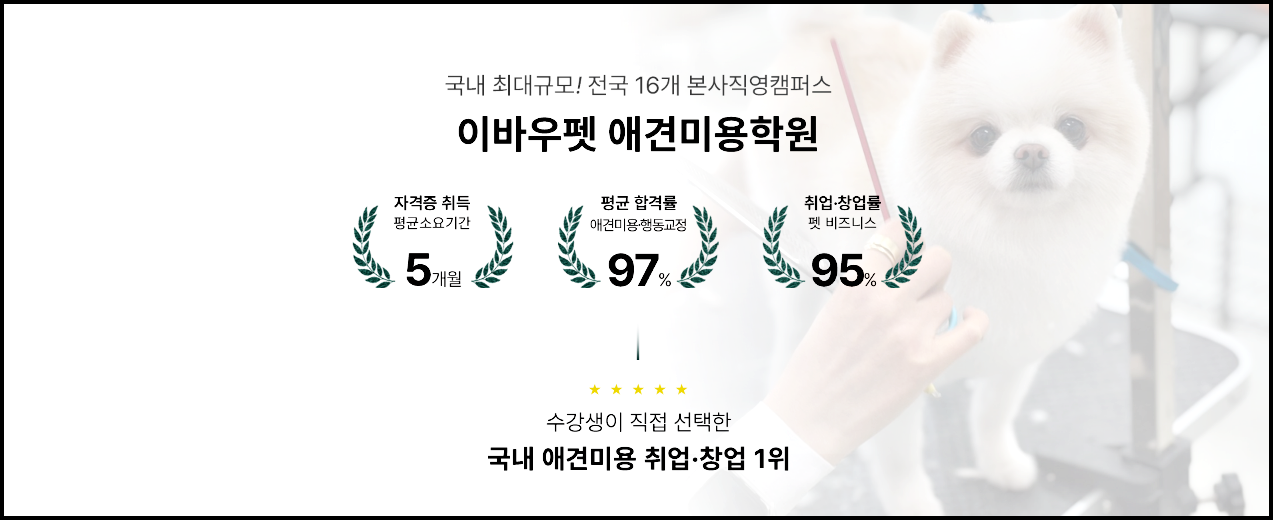 목포애견미용학원