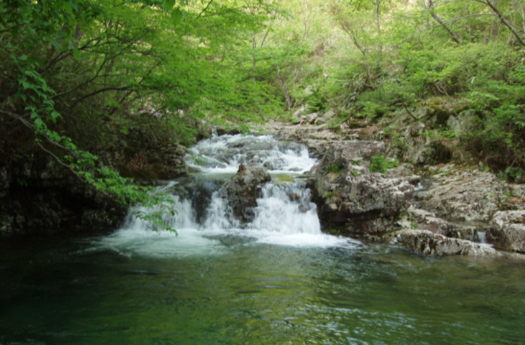 국립자연휴양림