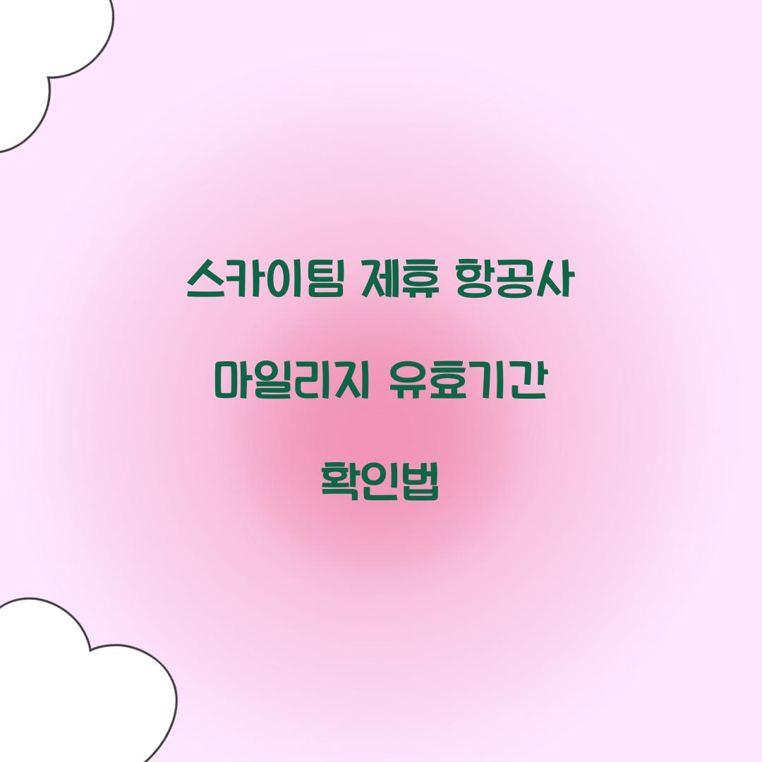 스카이팀 제휴 항공사 마일리지 유효기간 확인법  