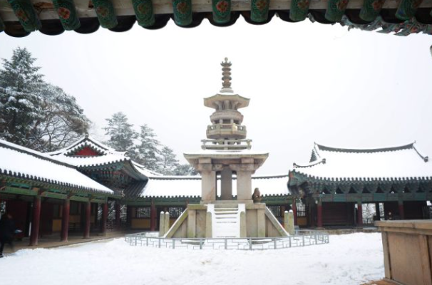 1월 경상도 가볼만한곳 여행지 ❘ 국내 겨울 나들이 명소 추천❘ 데이트 가족 실내 당일치기