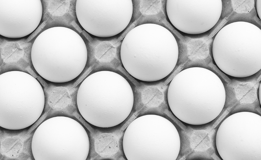 성장호르몬에좋은달걀