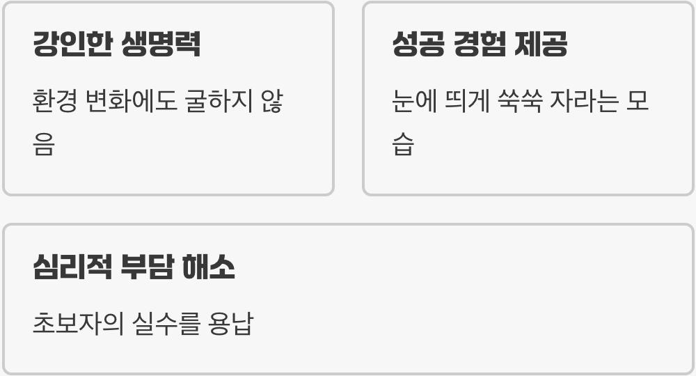 초보자의 수초 실패, 이젠 안녕