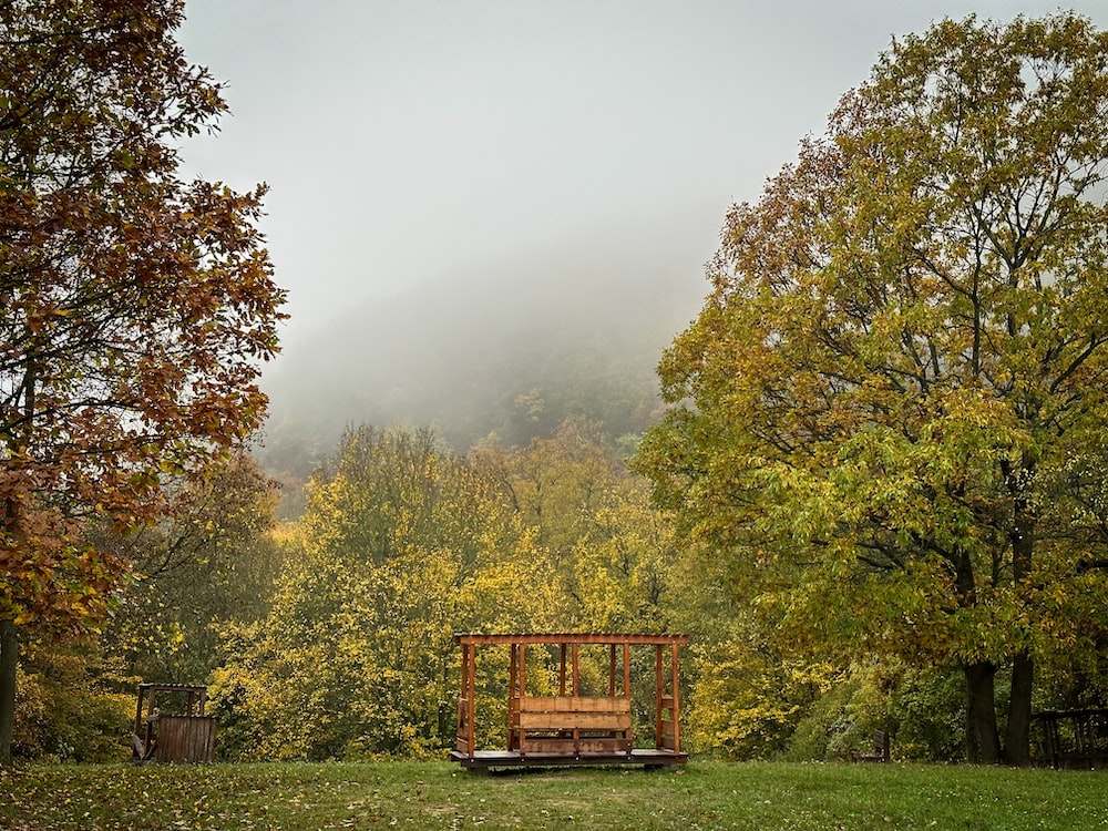 유아 성장과 발달을 위한 자연 교육