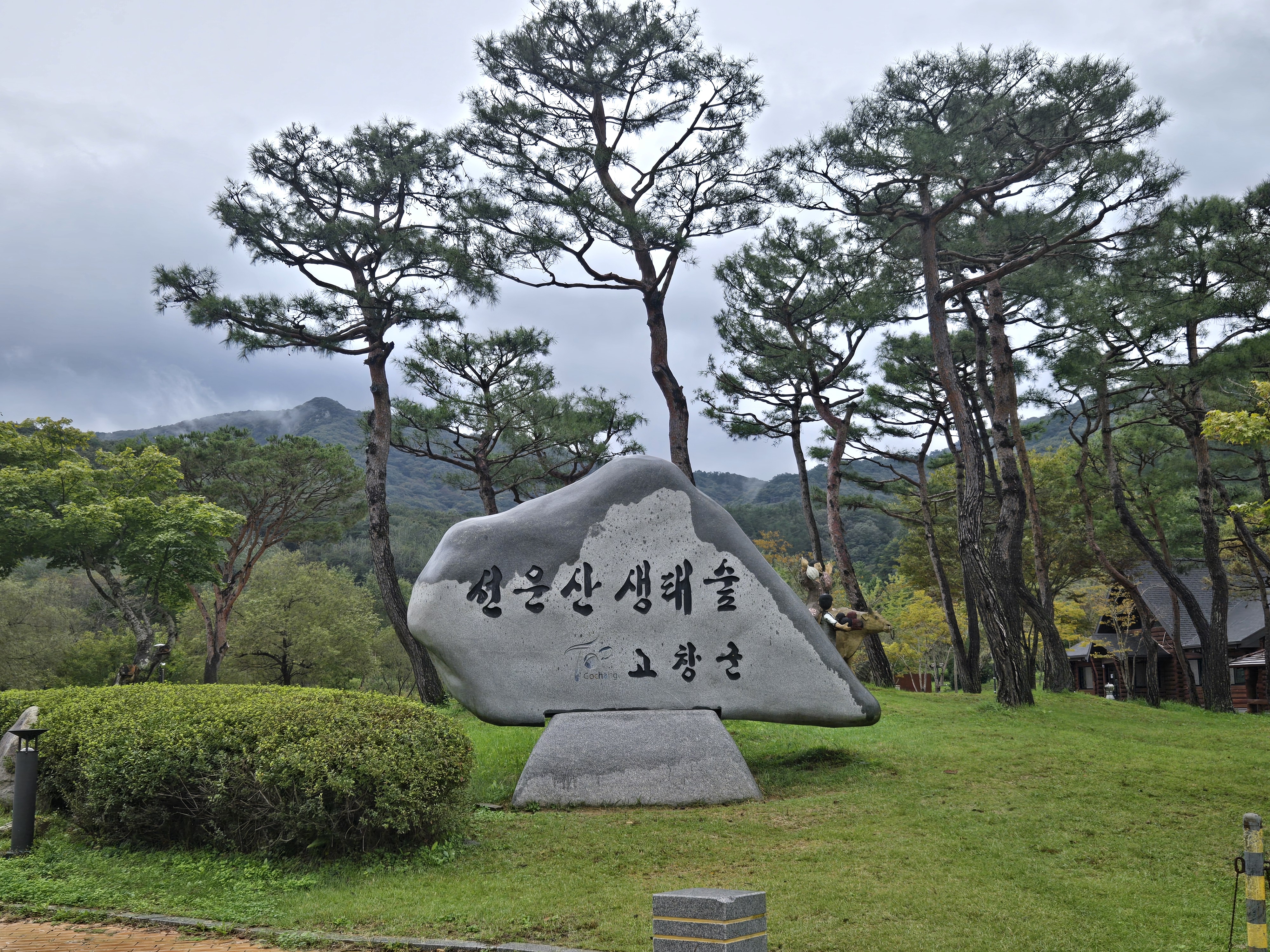 고창 선운사 힐링 여행
