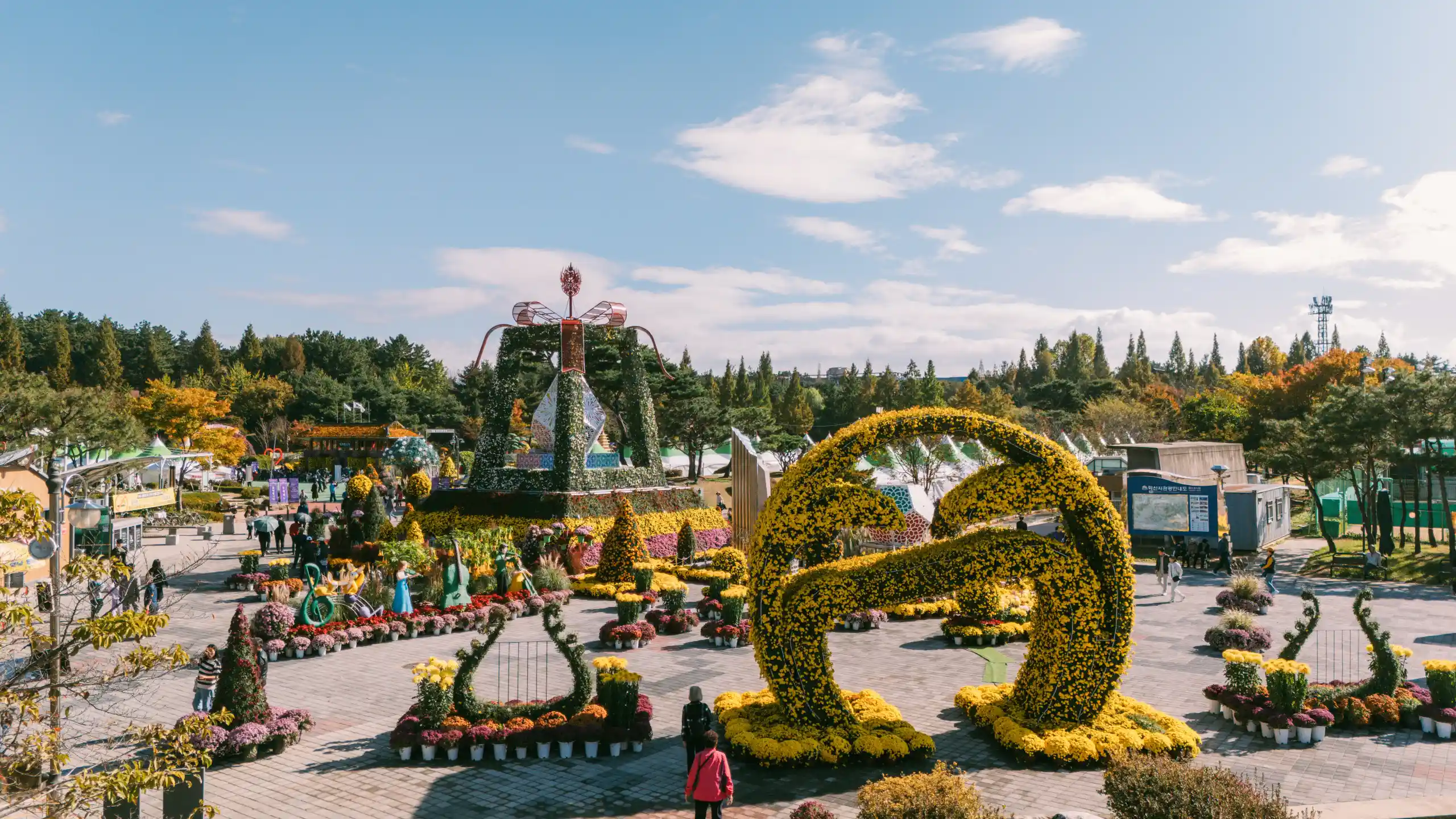 국화 분재 특별전시