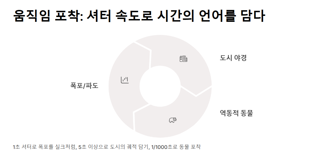 여행 사진 잘 찍는 법 - 눈에 띄는 꿀팁