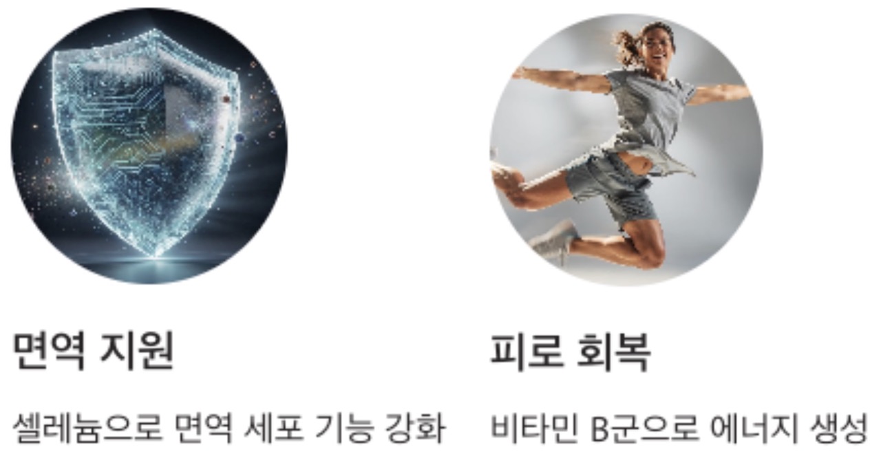 닭고기 효능 면역지원및 피로회복