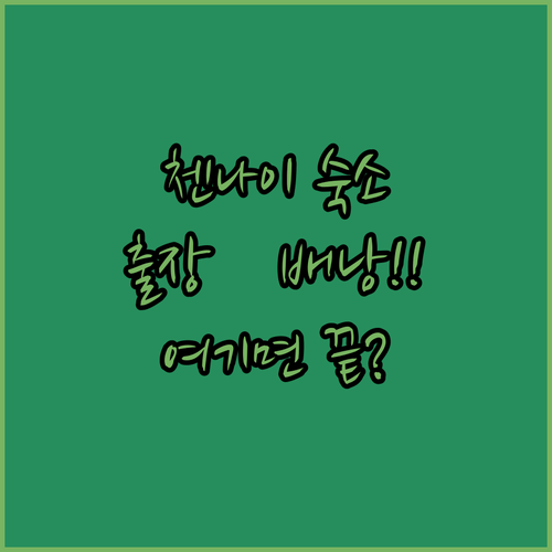 출장객과 배낭여행자 모두 만족시킨 첸..