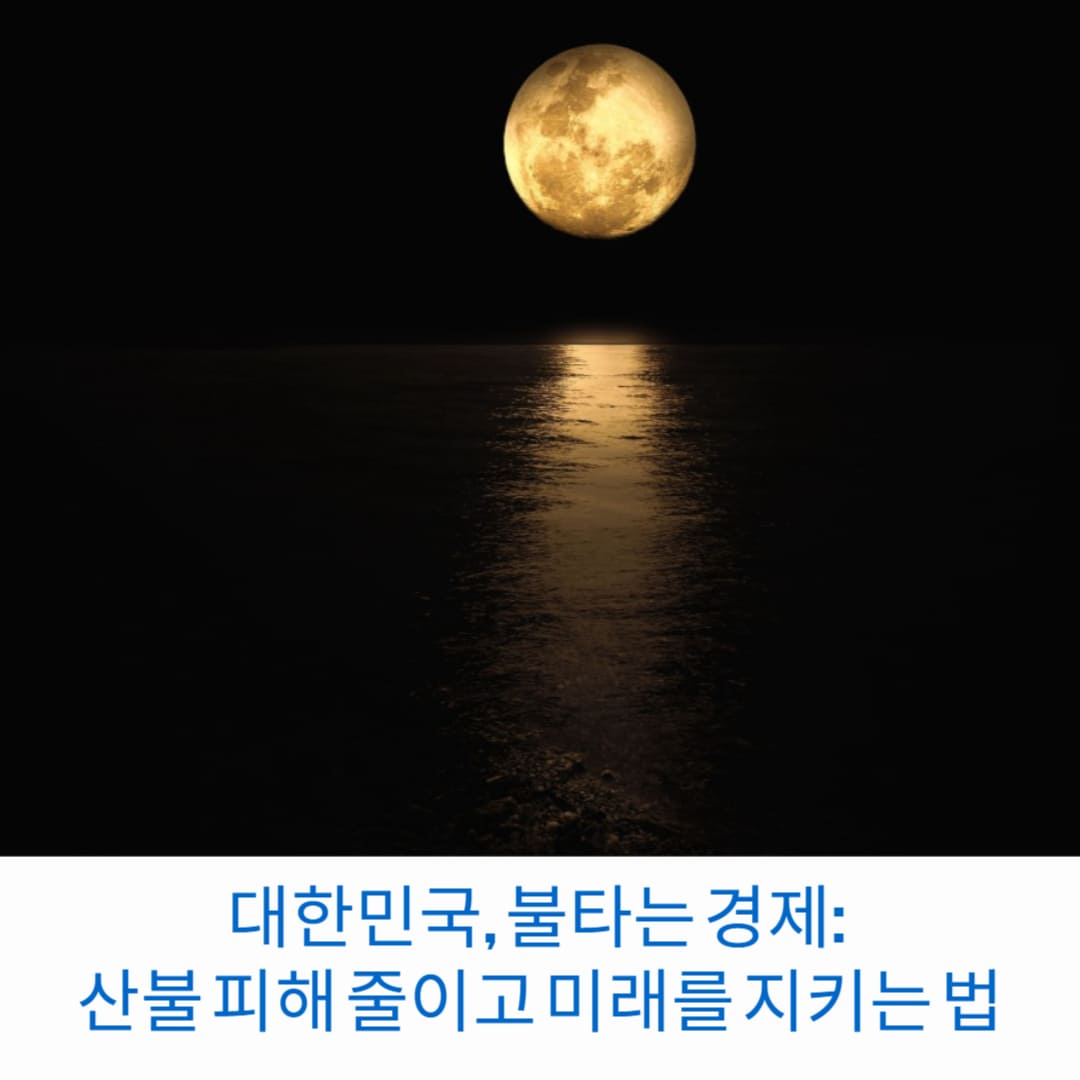 대한민국-불타는-경제-산불-피해-줄이고-미래를-지키는-법-썸네일