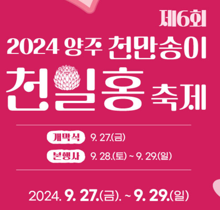 양주 천일홍 축제