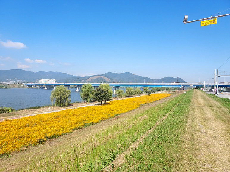 경상북도 칠곡 왜관파크골프장 소개