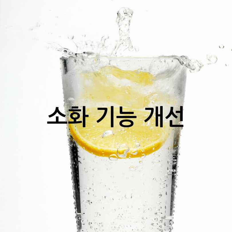 탄산수의 효능과 부작용&amp;#44; 올바른 섭취법