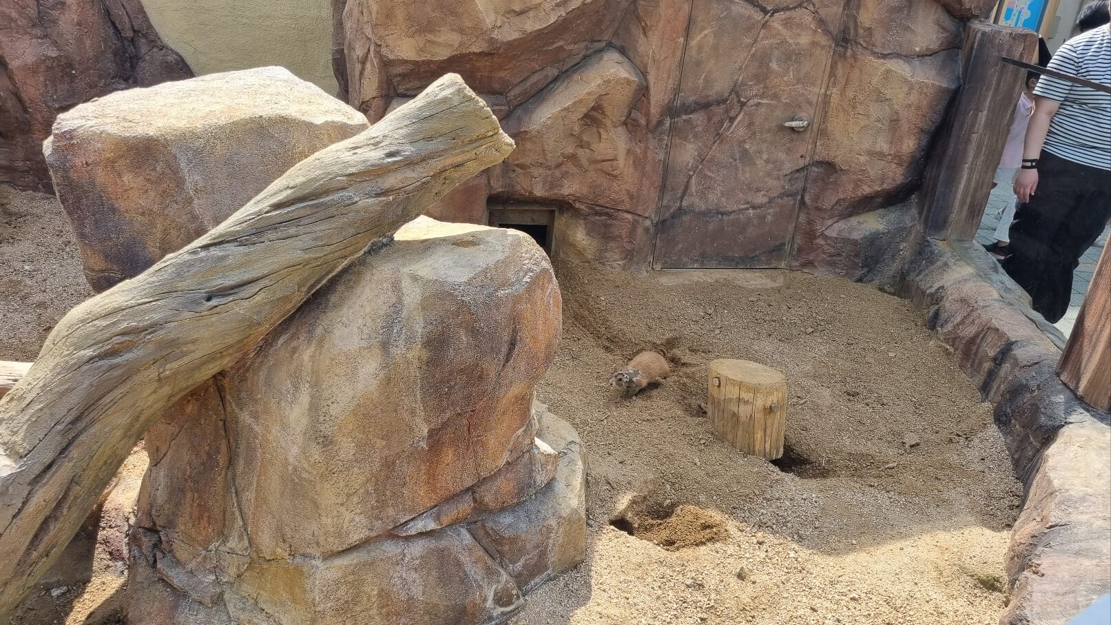 순천만국가정원 서문 동물원