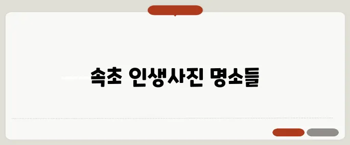 속초 가볼만한곳 인생사진 명소 총정리!
