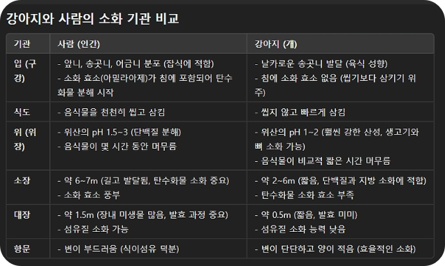 강아지와사람의소화기관비교